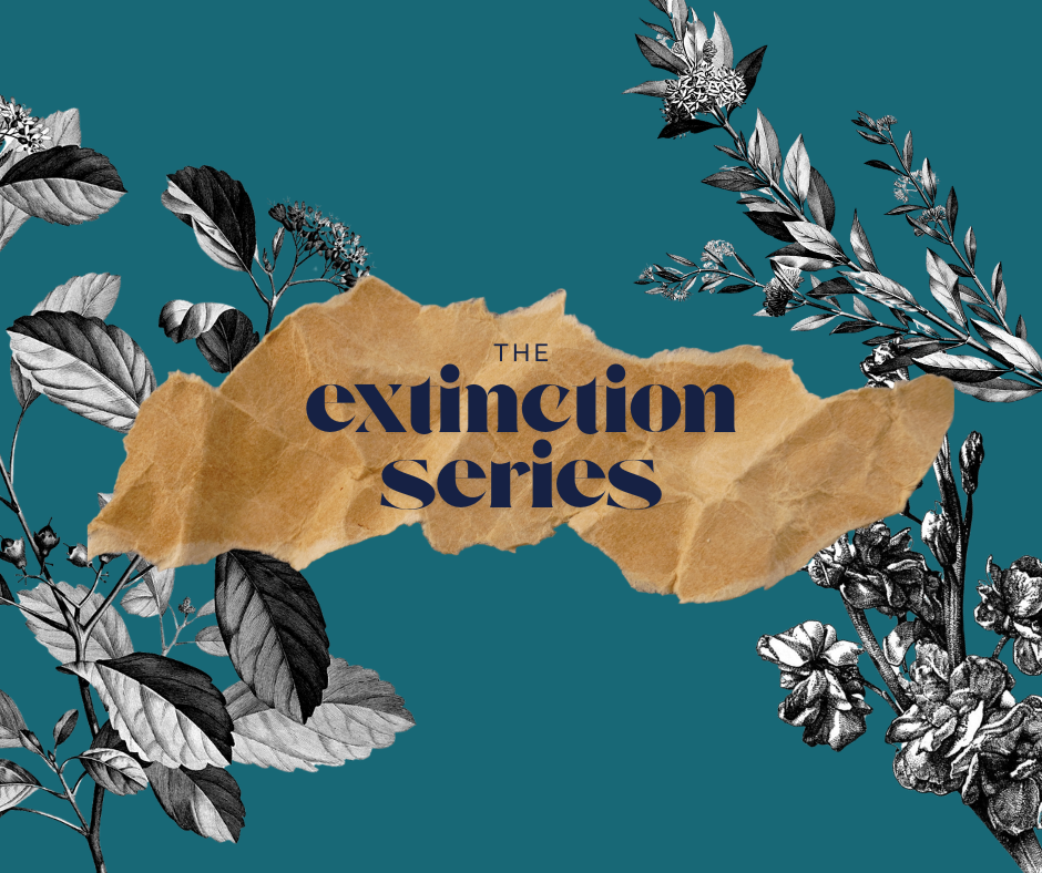 The Extinction Series: 2025 Public-Space Run event image