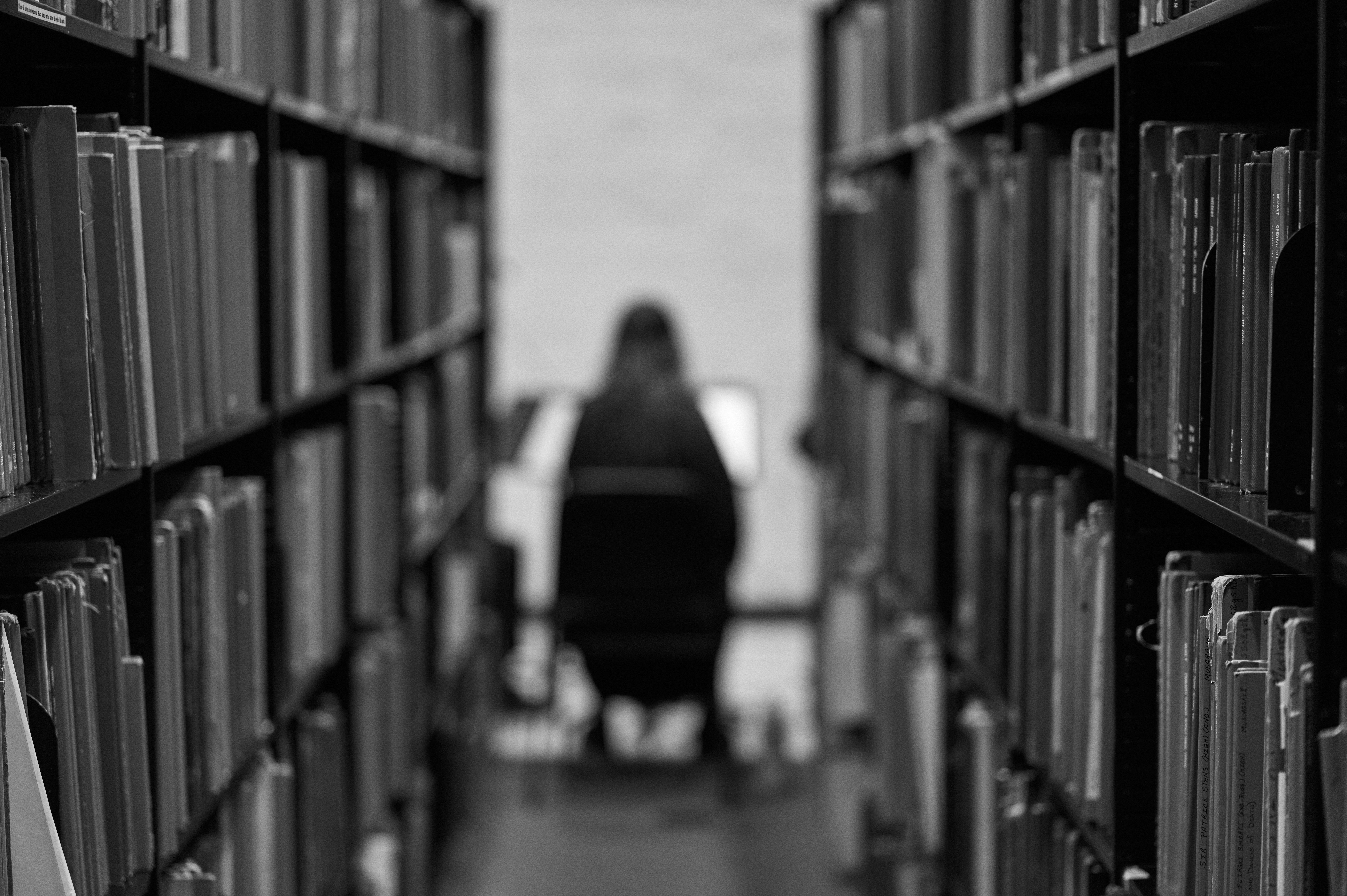 The Library Series, 2025 event image